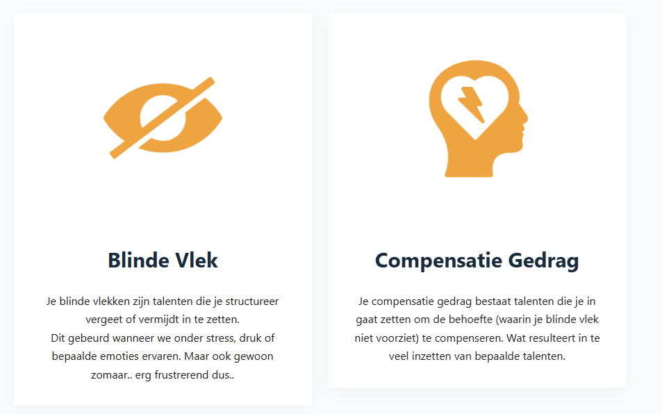 Blinde Vlek
